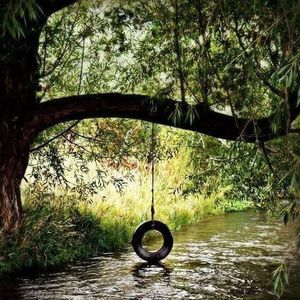 Meet your Posher, Robyn